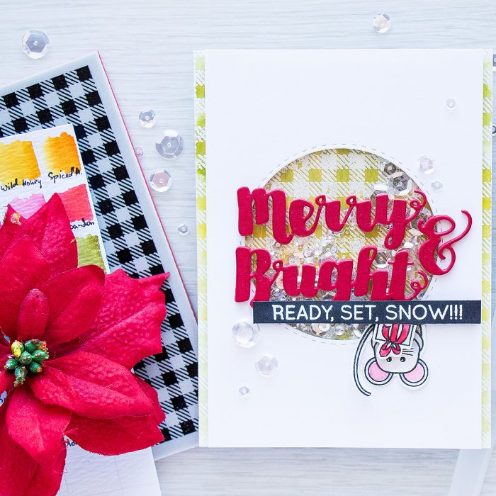 Simon Says Stamp | Merry & Bright Shaker Card