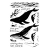 Hero Arts Clear Stamps Color Layering Blue Whale