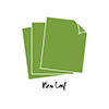 PTI Perfect Match New Leaf Cardstock (50 sheets)