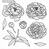 Picket Fence Studios Peony Bouquet Stamps