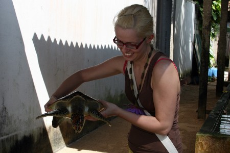 Ферма черепах - Шрі Ланка