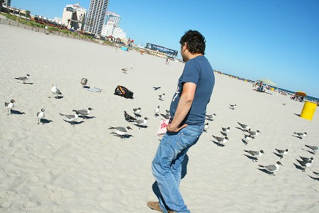 Сторінка Wasting Popcorn to Feed Birds за скетчем від Keeping The Best