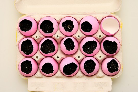 Фарбування шкаралуп від яєць до Великодня