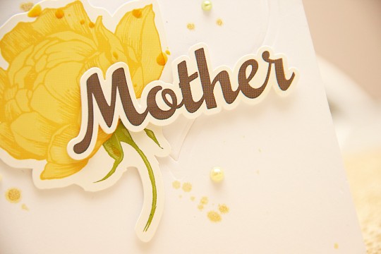 Clean & Simple Die Cutting #6: Mother. Video