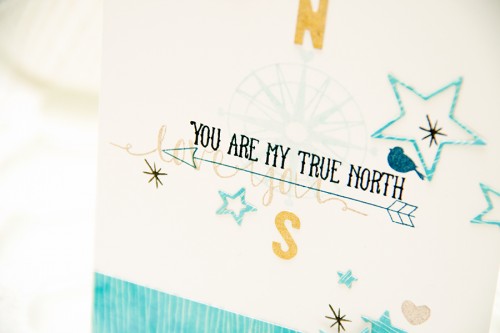 Yana Smakula - Avery Elle Challenge | Masculine Cards - You Are My True North