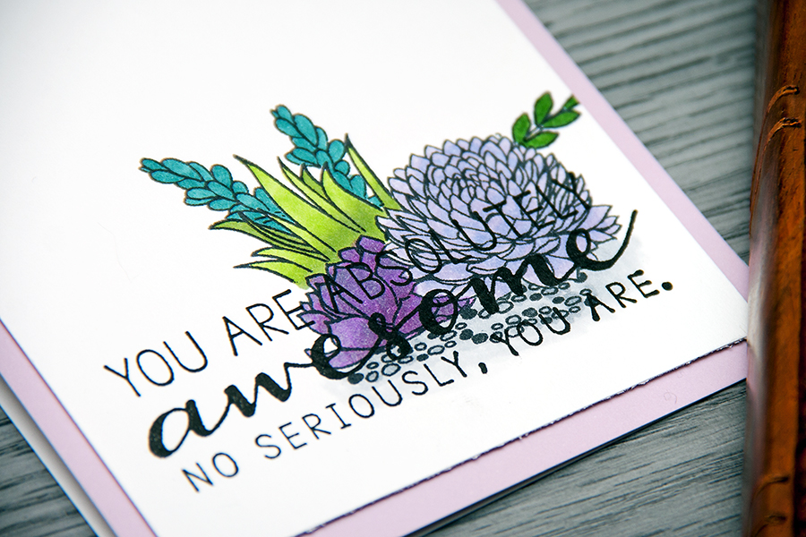 Hero Arts | You Are Absolutely Awesome Succulents Card