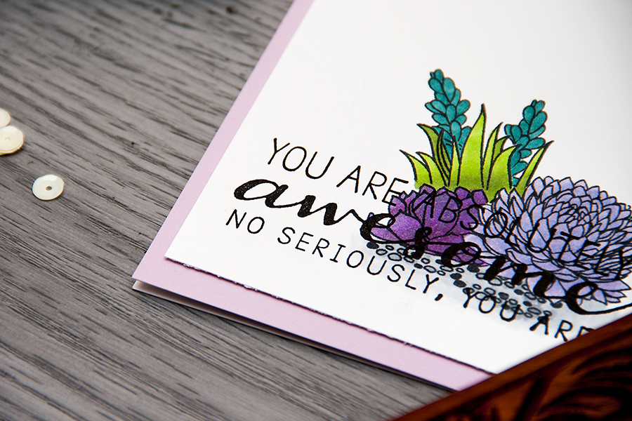 Hero Arts | You Are Absolutely Awesome Succulents Card