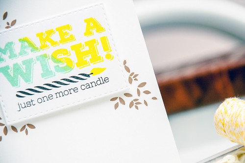 Yana Smakula | Simon Says Stamp April 2015 Card Kit - Make A Wish
