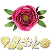 Peony Spellbinders S2-165