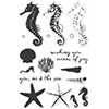 Hero Arts Clear Stamps COLOR LAYERING SEAHORSE CL956