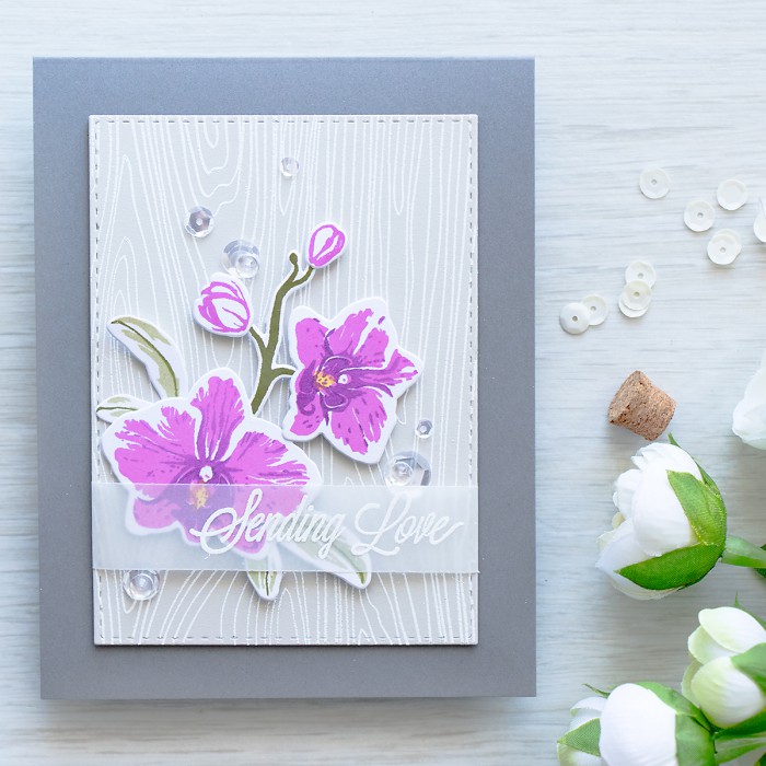 Hero Arts | Purple Orchids - Sending Love