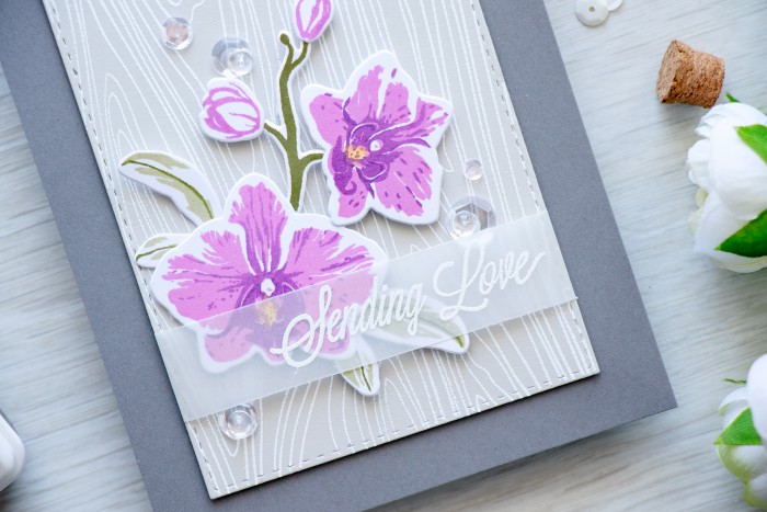 Hero Arts | Purple Orchids - Sending Love