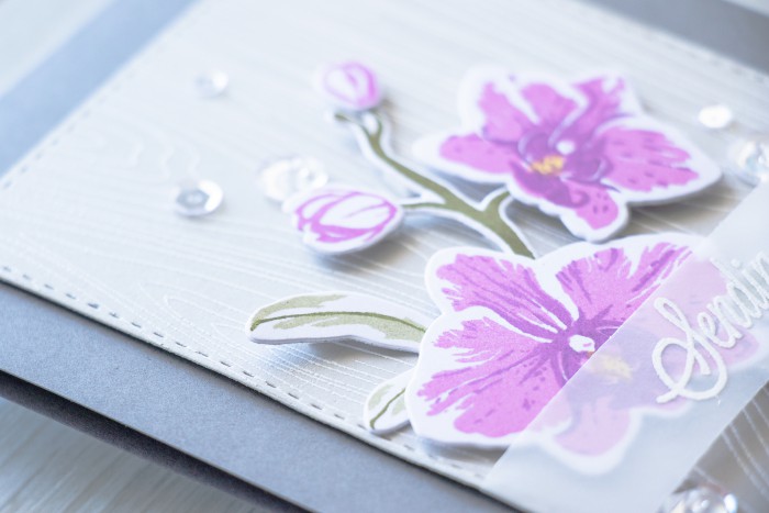 Hero Arts | Purple Orchids - Sending Love