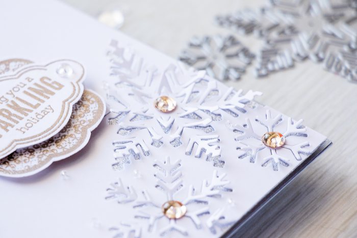 Hero Arts | 3-Dimensional Snowflakes Card with Paper Layering Snowflake dies. Project & Video tutorial by Yana Smakula