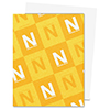 Neenah 80 Solar White Paper Pack 250 Sheets