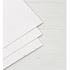 WPlus9 Oatmeal Cardstock