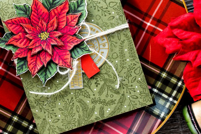 Hero Arts | Vintage Layered Poinsettia Card