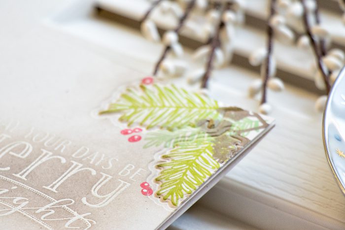WPlus9 | One Layer Christmas Cards with Dry Embossed Details. Video 