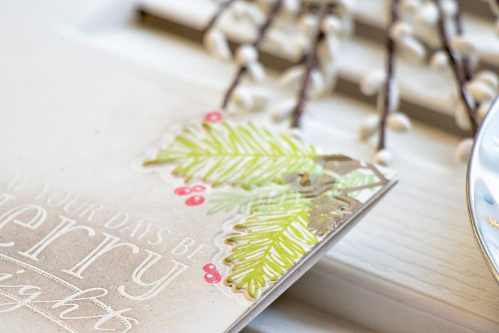 WPlus9 | One Layer Christmas Cards with Dry Embossed Details. Video