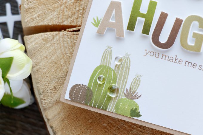 Hero Arts | Need a Cactus Hug? 