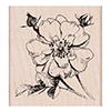 Hero Arts Rubber Stamp Antique Rose Stem