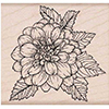 Hero Arts Rubber Stamps Artistic Dahlia