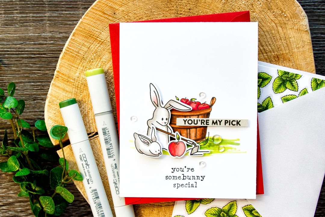 Hero Arts | My Monthly Hero March 2017 Kit - You're My Pick Bunny Card by Yana Smakula