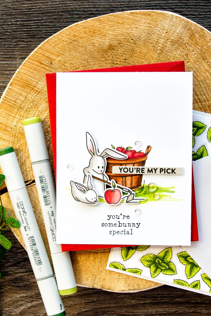 Hero Arts | My Monthly Hero March 2017 Kit - You're My Pick Bunny Card by Yana Smakula