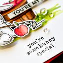 Hero Arts | My Monthly Hero March 2017 Kit - You're My Pick Bunny Card by Yana Smakula