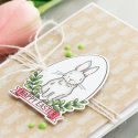 Simon Says Stamp | Quick Copic Colored Easter & Spring Cards using Spring Seeds stamp set. Cards by Yana Smakula