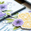 WPlus9 | Petunias and Peonies Cards