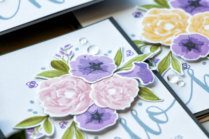 WPlus9 | Petunias and Peonies Cards