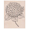 Hero Arts Rubber Stamps Large Hydrangea