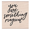 Hero Arts Rubber Stamp Something Magical