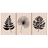 Hero Arts Rubber Stamp Tropical Leaves