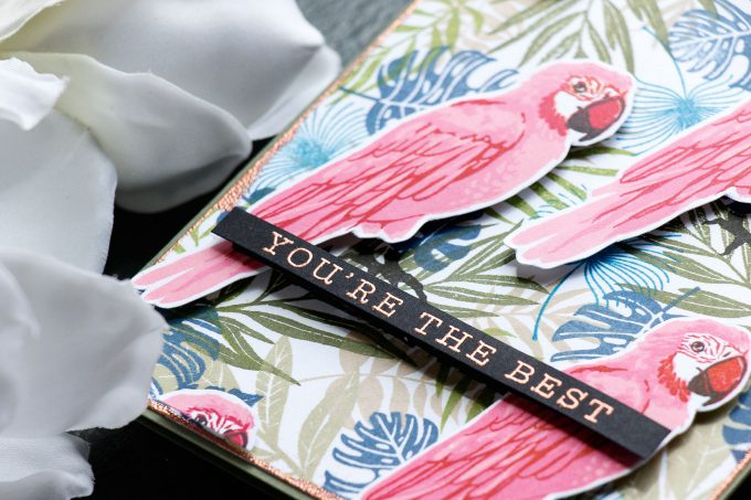 Hero Arts | Tropical Pattern 2.0 - You're The Best Card using Color Layering Parrot. Project by Yana Smakula