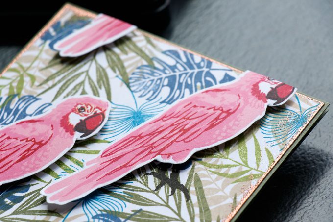 Hero Arts | Tropical Pattern 2.0 - You're The Best Card using Color Layering Parrot. Project by Yana Smakula