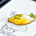 Simon Says Stamp | More Cardmaking Ideas using Dancing Fruits