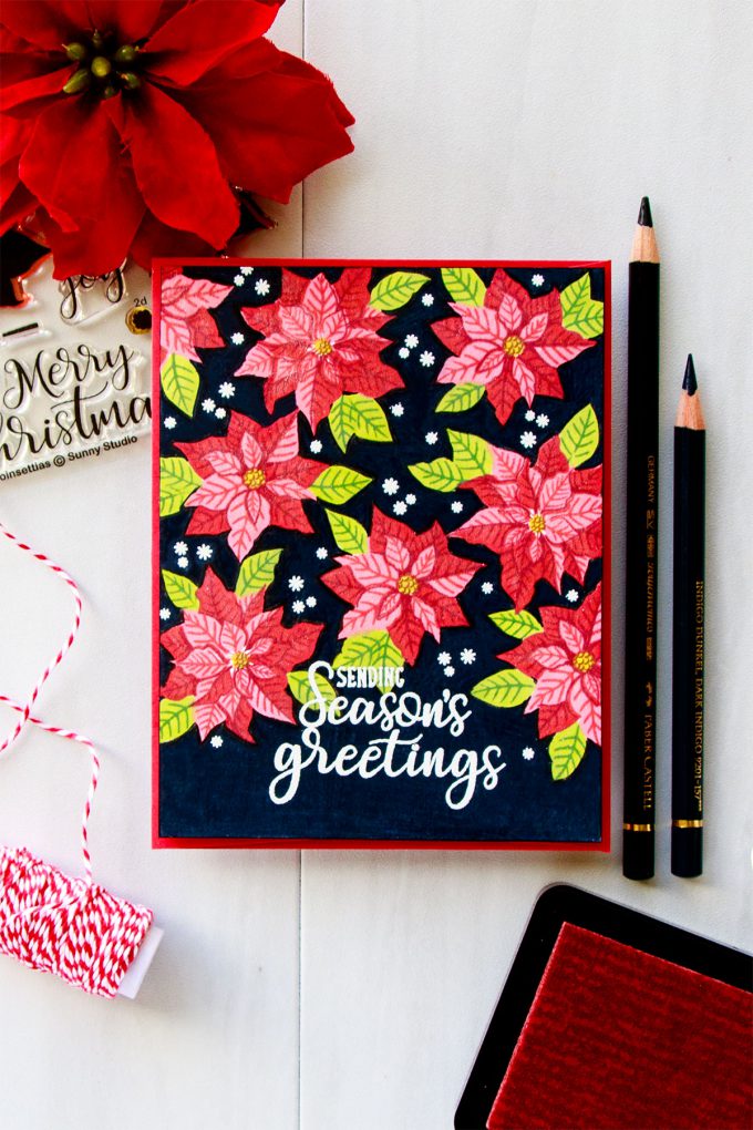 Sunny Studio | One Layer Vibrant Christmas Poinsettia Card on Dark Background. Video