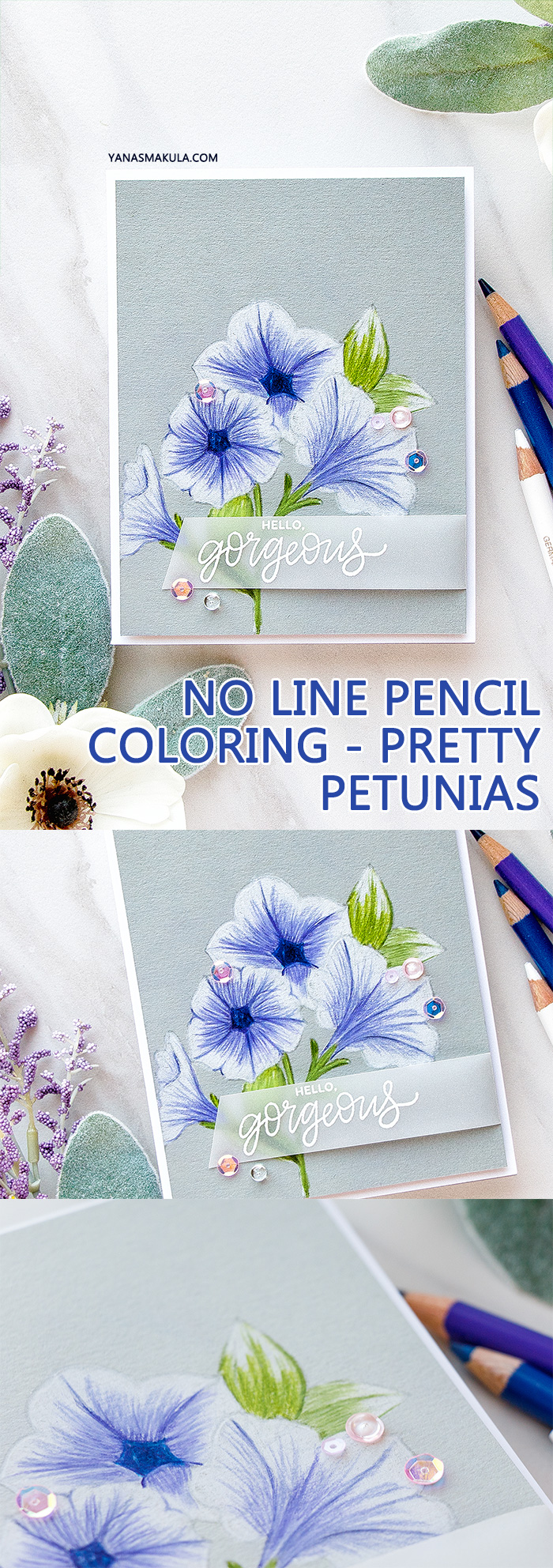 Pretty Pink Posh | No Line Pretty Petunias Pencil Coloring. Video tutorial by Yana Smakula #cardmaking #pencilcoloring #polychromoscoloring #handmadecard
