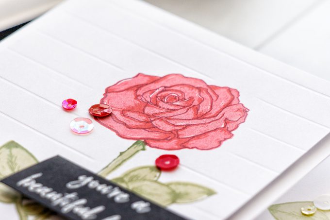 Hero Arts | Color Layering With Yana Series – Color Layering Rose