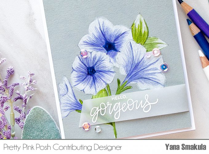 Pretty Pink Posh | No Line Pretty Petunias Pencil Coloring. Video tutorial by Yana Smakula #cardmaking #pencilcoloring #polychromoscoloring #handmadecard