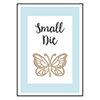 Spellbinders Small Die Of The Month Membership 