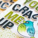  Hero Arts | Lots of Bird Cards! Video. February My Monthly Hero Blog Hop + Giveaway #mymonthlyhero #cardmaking #stamping #heroarts