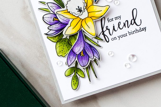 Simon Says Stamp | Spring Flowers Take 2 - Polychromos vs Copics. Handmade Floral Birthday Card colored using Polychromos using More Spring Flowers stamp set by Simon Says Stamp SSS101703 #stamping #adultcoloring #cardmaking #handmadecard #simonsaysstamp