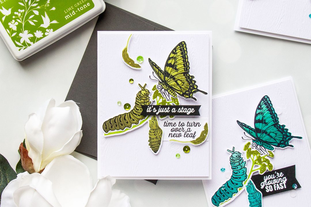Hero Arts | Color Layering With Yana Series – Color Layering Caterpillar & Butterflies Cards by Yana Smakula. Video Tutorial. #heroarts #cardmaking #stamping #colorlayering