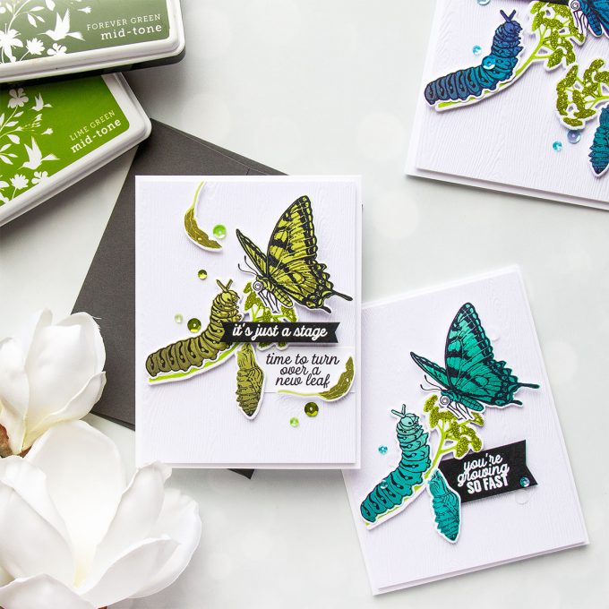 Hero Arts | Color Layering With Yana Series – Color Layering Caterpillar & Butterflies Cards by Yana Smakula. Video Tutorial. #heroarts #cardmaking #stamping #colorlayering 