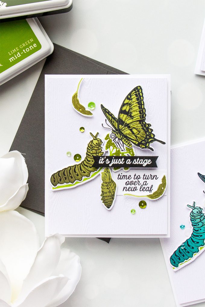 Hero Arts | Color Layering With Yana Series – Color Layering Caterpillar & Butterflies Cards by Yana Smakula. Video Tutorial. #heroarts #cardmaking #stamping #colorlayering 