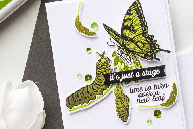 Hero Arts | Color Layering With Yana Series – Color Layering Caterpillar & Butterflies Cards by Yana Smakula. Video Tutorial. #heroarts #cardmaking #stamping #colorlayering 