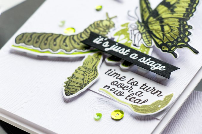 Hero Arts | Color Layering With Yana Series – Color Layering Caterpillar & Butterflies Cards by Yana Smakula. Video Tutorial. #heroarts #cardmaking #stamping #colorlayering 